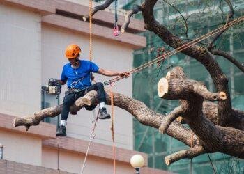 Solidaridad laboral entre empresas contratistas y beneficiarias