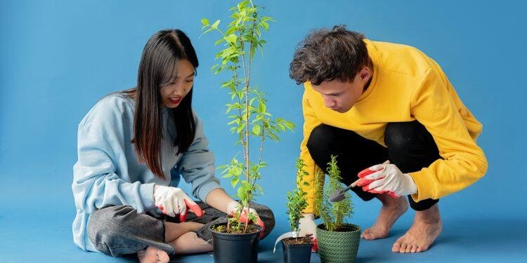 Las sociedades BIC en pro del desarrollo sostenible