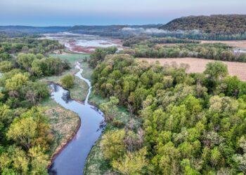 La licencia ambiental y su necesidad dentro de los proyectos