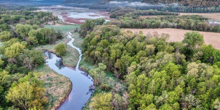 La licencia ambiental y su necesidad dentro de los proyectos