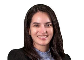 La consulta previa: ¿un obstáculo para la transición energética?